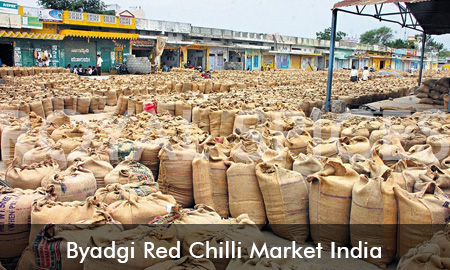 Byadgi Red Chilli Market India