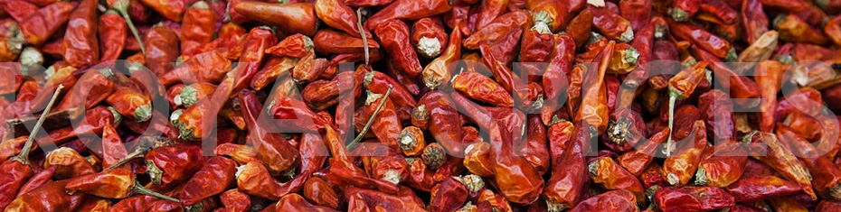 Dhani Birds Eye Red Chilli Specifications