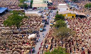 Indian Red Chilli Markets