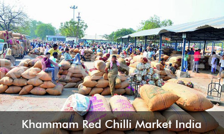 Khammam Red Chilli Market India