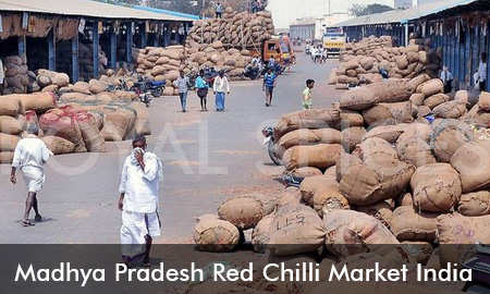 Madhya Pradesh Red Chilli Market India