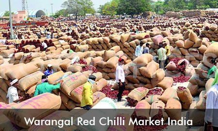 Warangal Red Chilli Market India