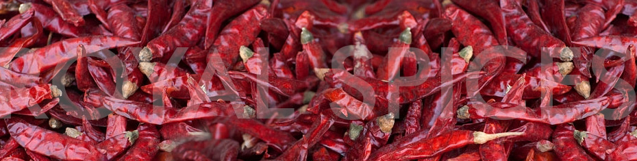 Wonder Hot Dried Red Chilli Specifications